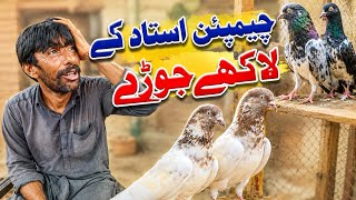 Champion Ustaad k nayaab Lakhy صرف پیسی چاہیے ہوں تو جوڑے دینا پڑتے 