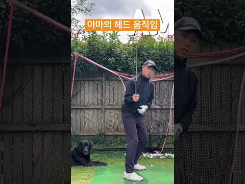 헤드가 여행하는 길이 중요한 이유(프로와 아마의 차이 10초요약)