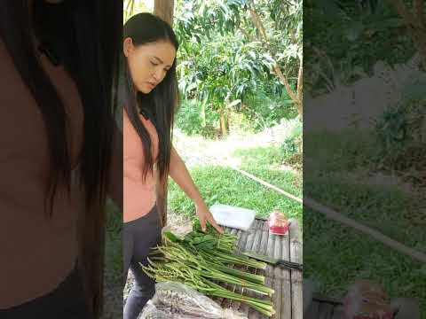 คนละครึ่งมาก็คนละครึ่งไป #คลายเครียด #คลิปตลก #ตลก