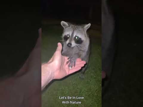 My Nature Highlights 2022