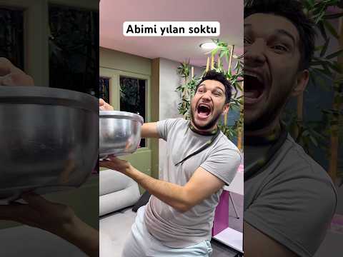 Abimi yılan soktu