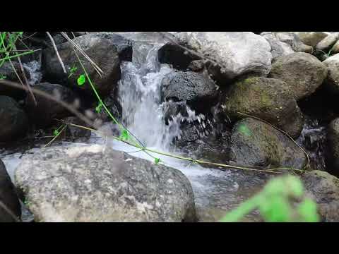 Paling dicari! Suara sungai jernih ini ampuh hilangkan cemas dan gangguan tidur #relax