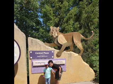 Minnesota Zoo