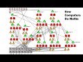 Binary Logic and Calculations