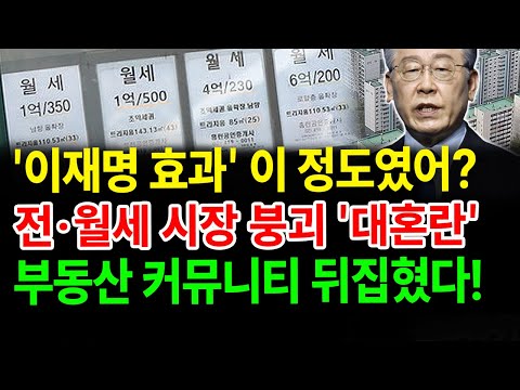 "이게 뭐야?" 전세 폭등, 월세 가속화... 부동산 커뮤니티 '발칵' [새벽N온라인반응]
