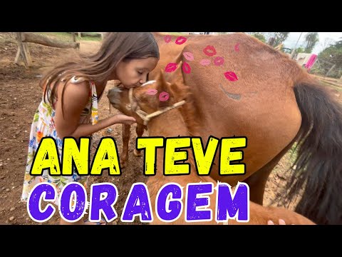 Adivinha o que consegui fazer com esse potrinho! 😱🐴