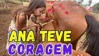 Adivinha o que consegui fazer com esse potrinho! 😱🐴
