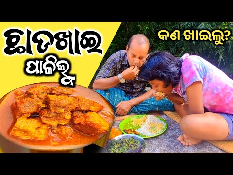 ଆମେ କେମିତି ପାଳୁ ଛାଡଖାଇ ଦେଖନ୍ତୁ😃