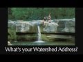 Water Quality and Pollution Effects