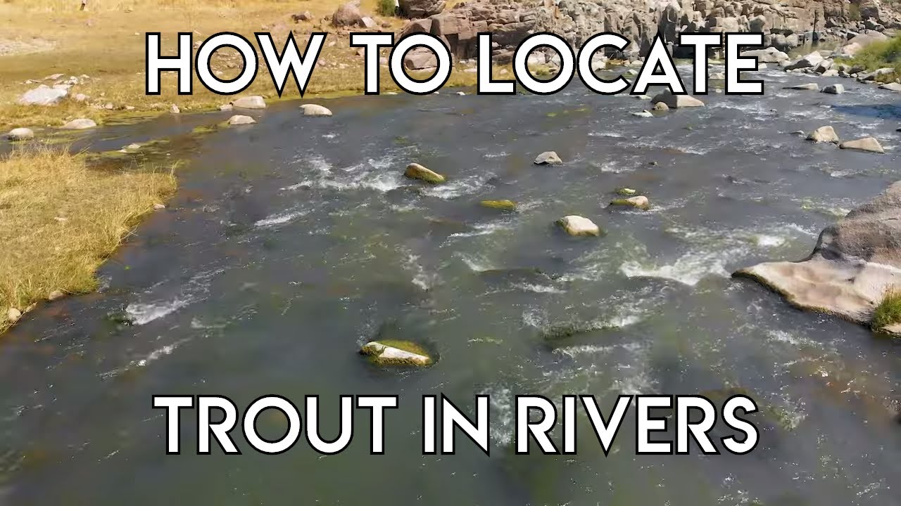 How to Find Trout in Rivers Part 2 - The New Fly Fisher
