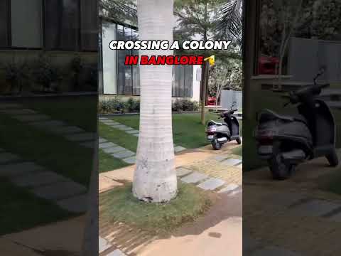 Normal Colony Of Banglore. #india #banglore #cars #supercars #luxurycars #shortvideo #youtubeshorts