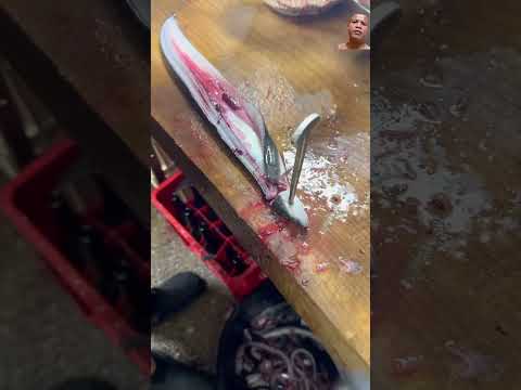 #craftman #japanesefood #捌き #捌く #cuttingskills #職人 #fishing #eel #sushifish #outdoorcooking #cooking