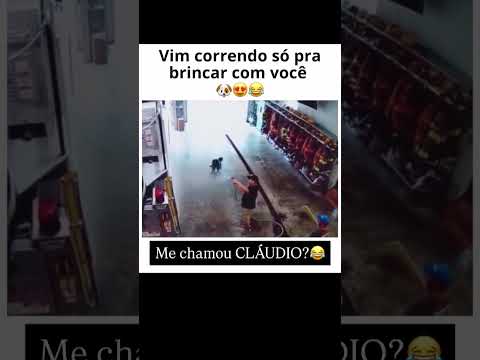 Ainda bem que a pastilha de freio estava em dia 😂  #cachorros #doguinhos
