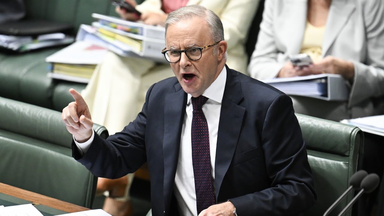 Anthony Albanese slams previous government’s handling of environmental issues
