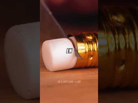 No Creerás Estos Datos ! #español #españa #datos #shorts