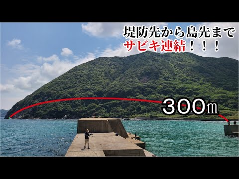 常識崩壊！堤防から島先まで300m超サビキ連結にアオイソメを付け一斉に激震！