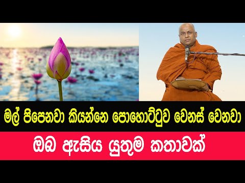 මල් පිපෙනවා කියන්නෙ පොහොට්ටුව වෙනස් වෙනවා | Thalalle chandakeerthi himi bana Pohottuwa