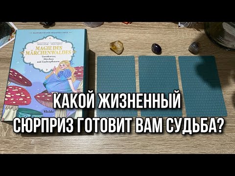 🥠 КАКОЙ ЖИЗНЕННЫЙ СЮРПРИЗ ГОТОВИТ ВАМ СУДЬБА? 🥠 гадание на таро Karina Tarot Reading