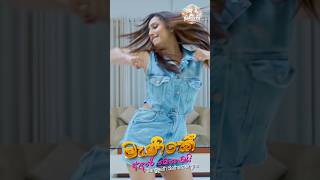 Manike Adare Mehemai|මැනිකේ ආදරේ මෙහෙමයි- Sangeeth Satharasinghe