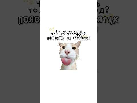 Что если есть только фастфуд?