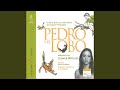 Comprensión del Video: El Gato y el Pájaro