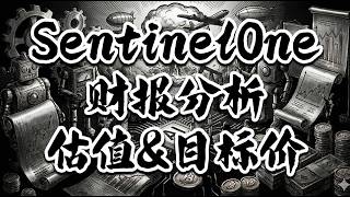 【投资美国】 S stock  目标价区间 🔮 SentinelOne 财报分析 🚩2个问题值得小心 ⭐️⭐️⭐️ 不构成投资建议 ‼️‼️‼️