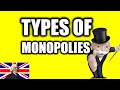 Monopoly Characteristics and Definitions