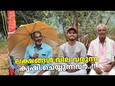 ഇതുവരെ കഴിച്ചതിൽ എനിക്ക് ഏറ്റവും ഇഷ്ടപ്പെട്ട മന്തി 😁Musafir of Dunya