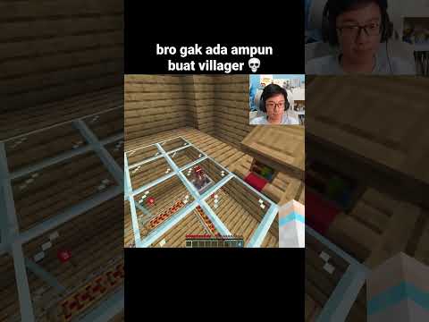 Momen Villager Minecraft