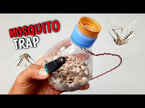 Creative Ideas for Making Mosquito Traps from Used Bottles (DIY)