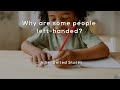 Understanding Left-Handedness