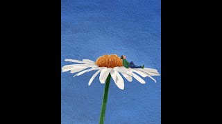 (FREE) SMINO X JORDAN WARD  TYPE BEAT - "WATER CUTS"