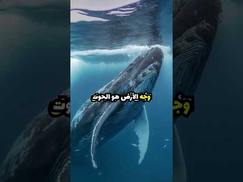 حقائق عن الحيوانات😨الفهد ليس اسرع حيوان😳