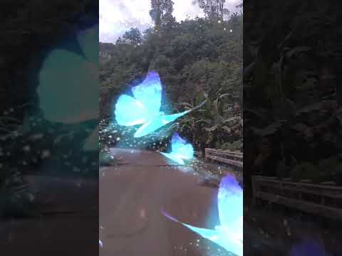 Ops!  slippery when Wet (Dashcam lens)