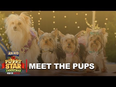 Meet The Pups of Puppy Star Christmas