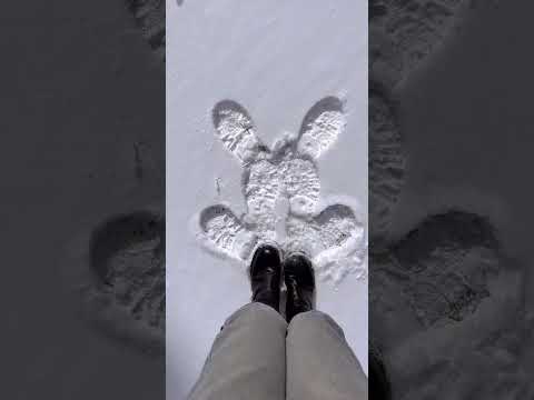 比比谁的小兔子🐇更可爱#下雪天的快乐 #下雪就得这样玩 #冬天该有的样子