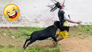Try Not To Laugh 😅 | Top 100 Funniest Videos Ever!