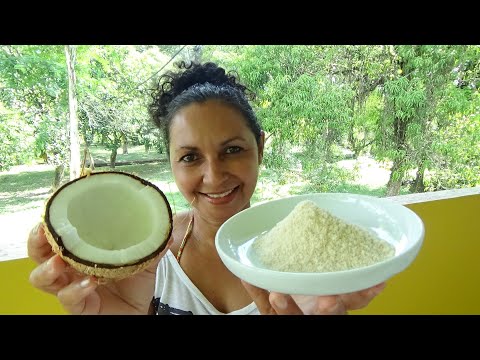 LEITE EM PÓ DE COCO FEITO EM CASA E MAIS RECEITAS
