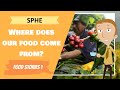 Rainforest Foods and Their Importance