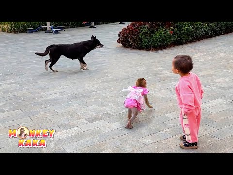 Mom took Diem, Quynh, and Monkey Kaka to the park for a walk.