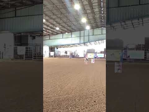 Mini Barrel Racer