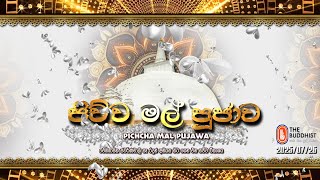 පිච්ච මල් පූජාව Pichcha Mal Pujawa - ඓතිහාසික ශ්‍රී මහා බෝධි රාජයාණන් වහන්සේ අභියස පැවති| 2025-07-26