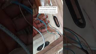 #poussins #chicken #poultryfarming #elevage #elevage #poussinière #kitchen #couveuse #fabrication