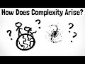 Understanding Entropy and Complexity