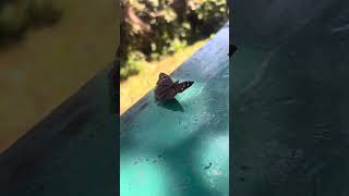 EP 06 CATARATAS DO IGUAÇU - ONDE FICA A GARGANTA DO DIABO?