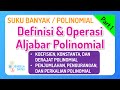 Understanding Polynomials
