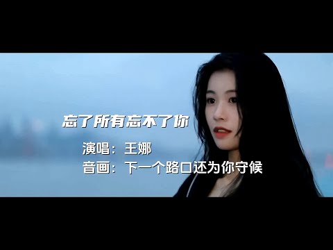 忘了所有忘不了你-王娜-伴奏 KARAOKE