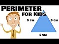 Understanding Perimeter