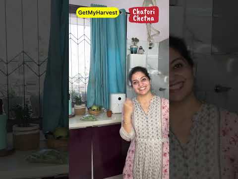 Keep Coriander Fresh in Summers | अब धनिया फ्रेश रहेगा 2 हफ्ते तक GetMyHarvest X ChatoriChetna