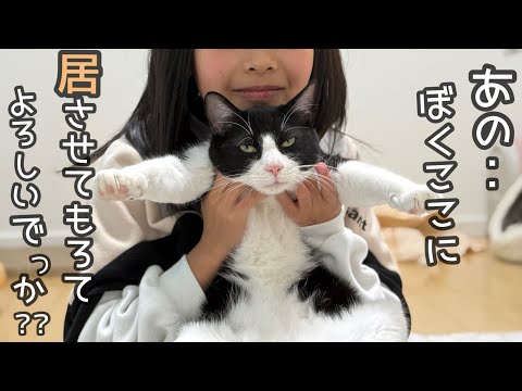 野良猫が家に入りたいみたいなので招待してみた。